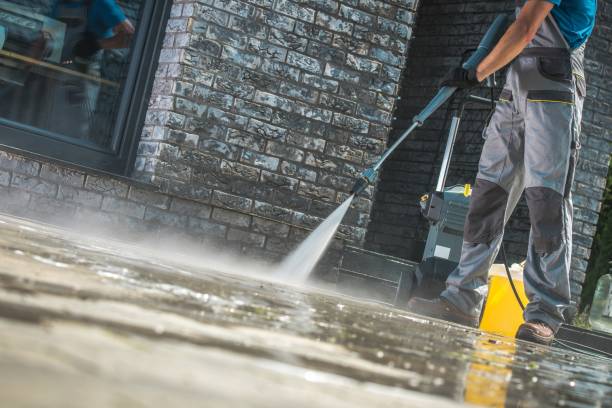 Best Soft Washing  in Port Dickinson, NY